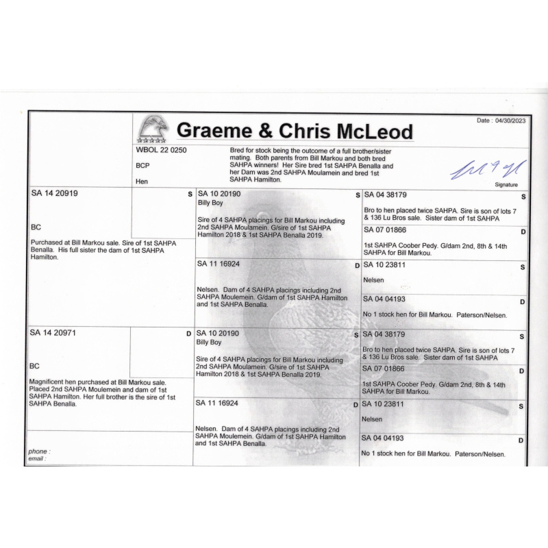 Lot 16 0250 BCPH Original G&C McLeod from top Bill Markou producers