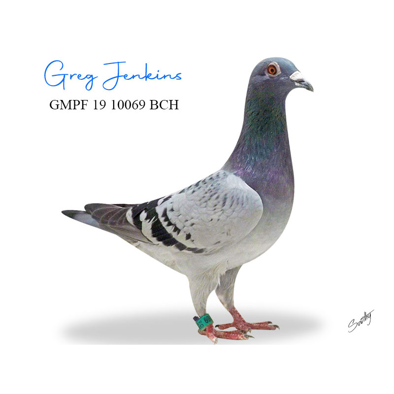 Lot 7 10069 BCH-Koopman x Hooymans from top imported winning lines