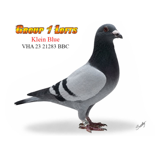 Lot 2 21283 BBC Original Meadow Stud Pieter Veenstra lines top producer