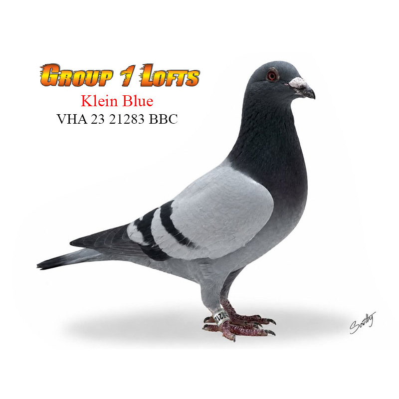 Lot 2 21283 BBC Original Meadow Stud Pieter Veenstra lines top producer