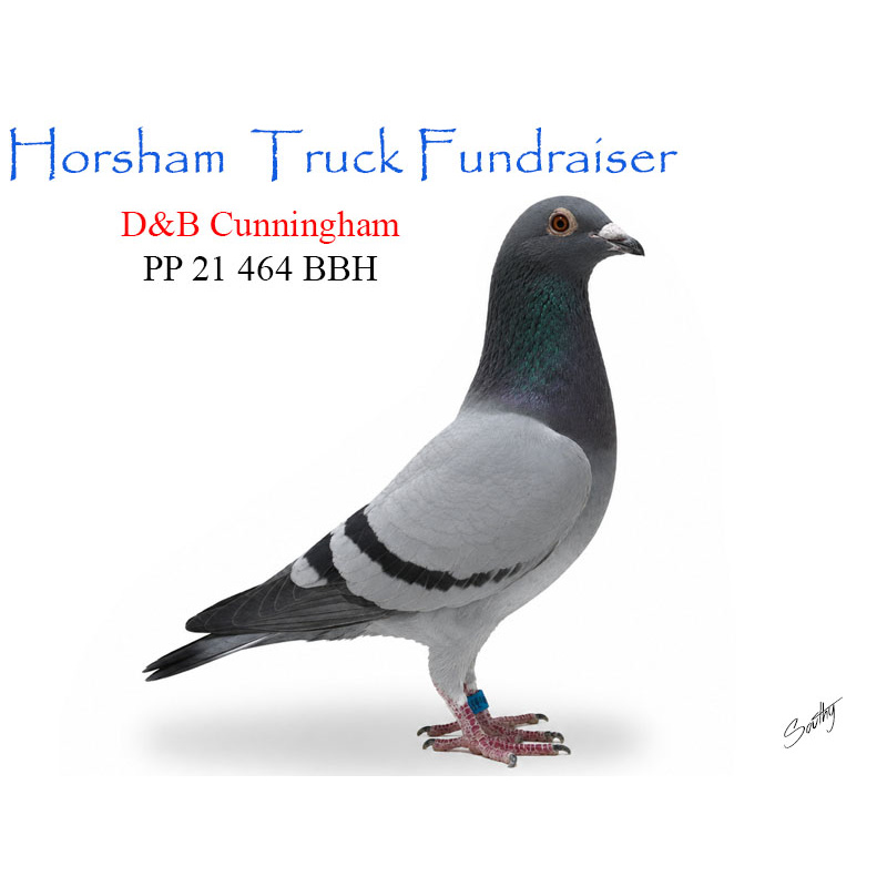 Lot 16 464 BBH D&B Cunningham top long distance winning lines