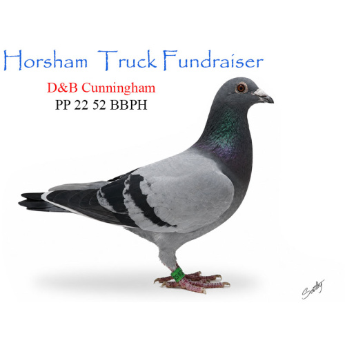 Lot 2 52 BBWFC D&B Cunningham from top winning lines