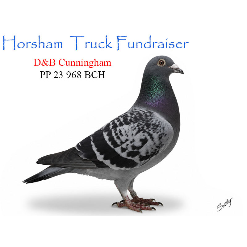 Lot 18 968 BCH D&B Cunningham Top winning Raven Van Loon lines
