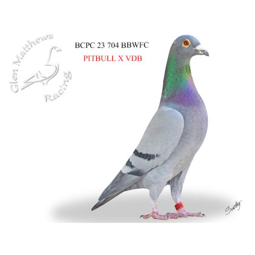 Lot 17 504 BBC Leo Heremans from two direct imports