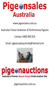 (c) Pigeonauctions.com.au